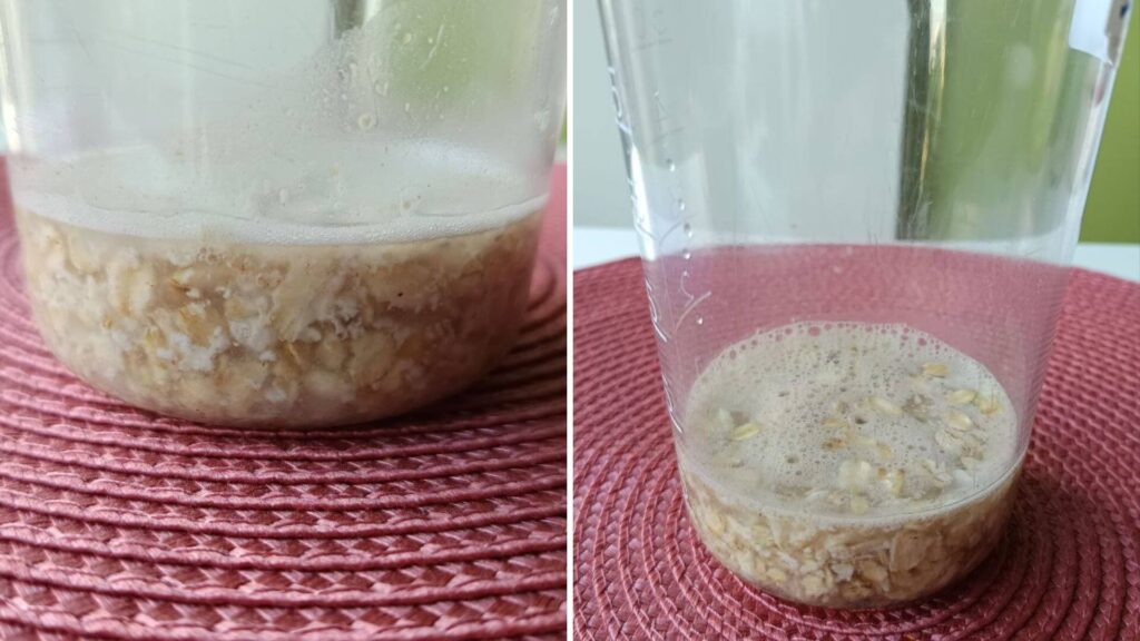 attente-grossieement-flocon-avoine