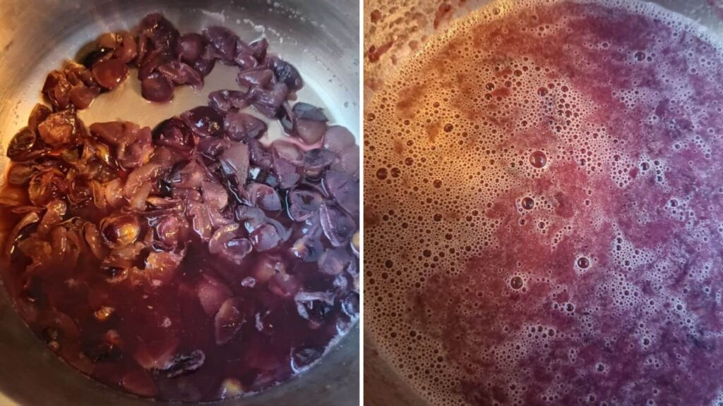 cuisson-compote-raisin