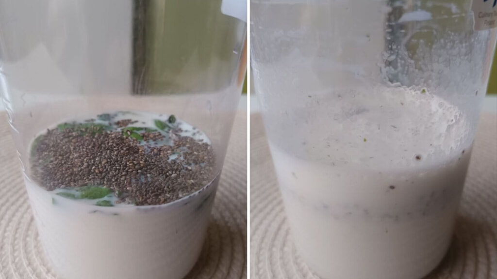 mixage-smoothie-menthe
