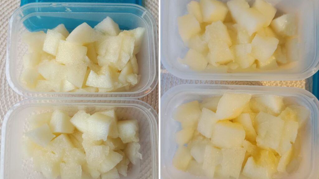 congelation-du-melon