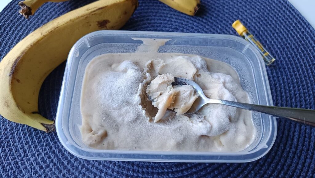 degustation-glace-vanille-sans-sorbetiere