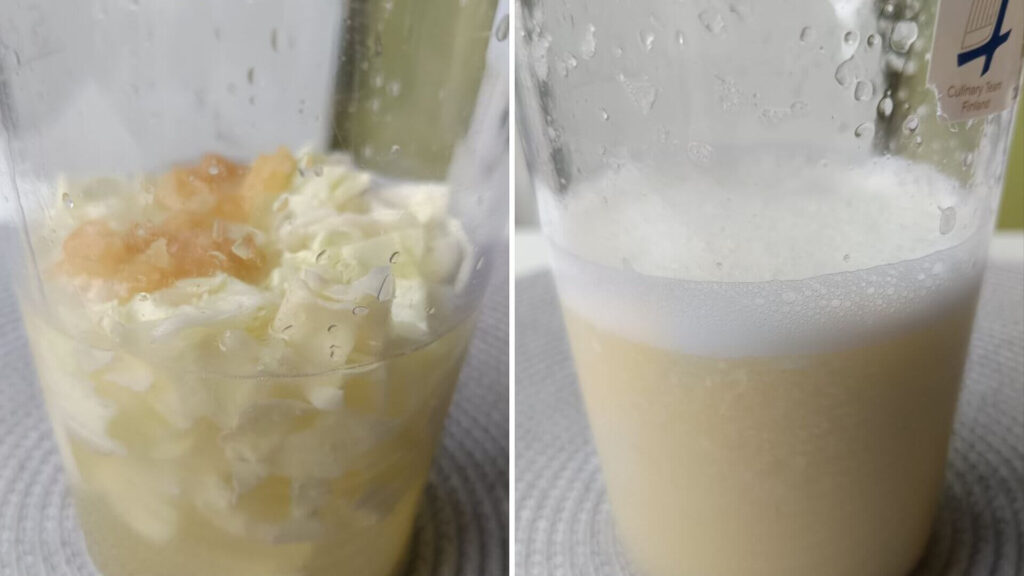 mixage-smoothie-detox-foie